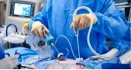 Chirurgie abdominale du chien Neuilly-sur-Seine <span data-charcode=